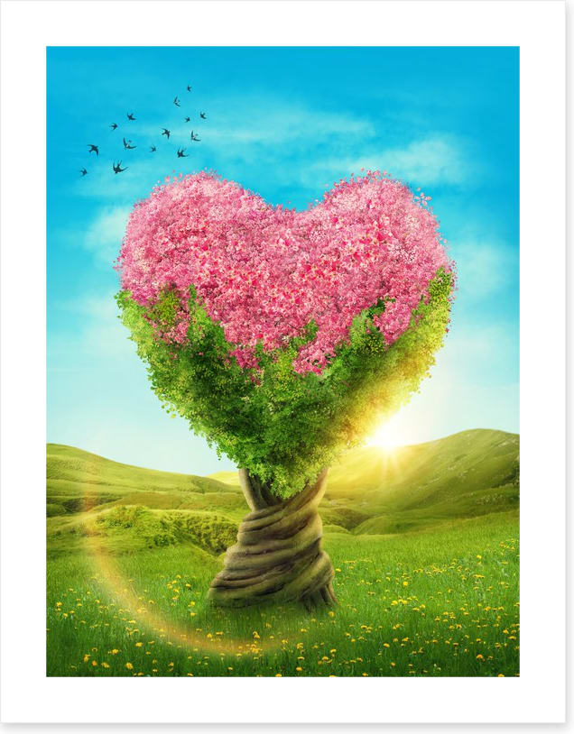 Blossoming love