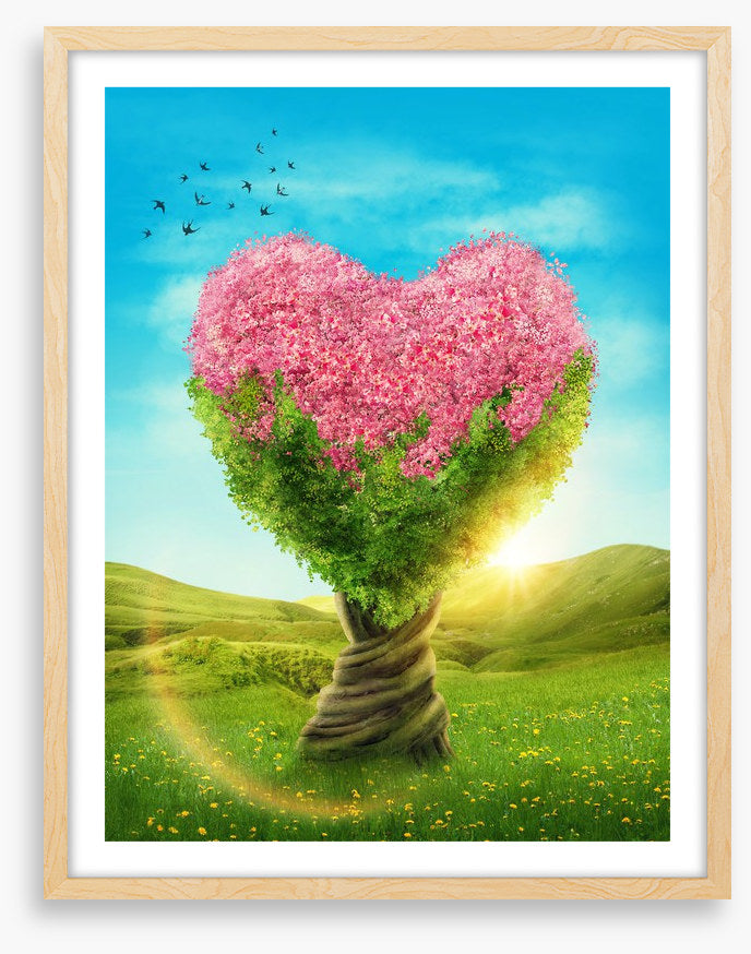 Blossoming love