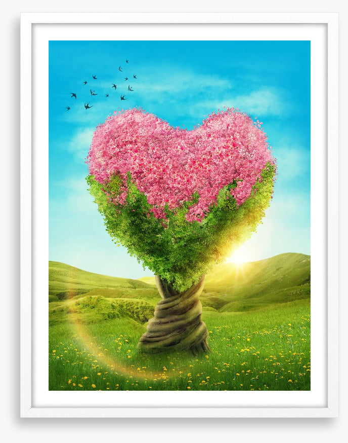 Blossoming love