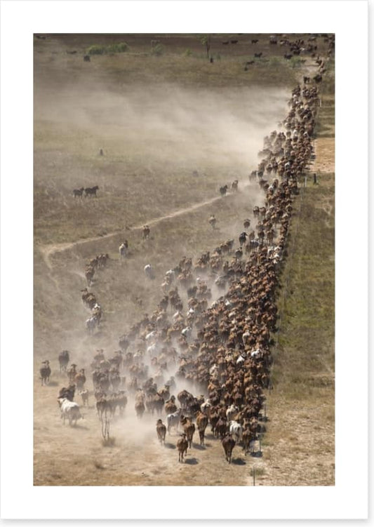 Agriculture