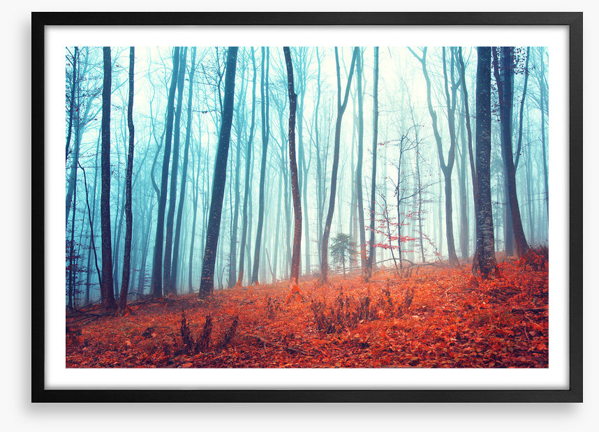 Lost in the forest