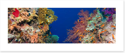 Coral chasm panorama
