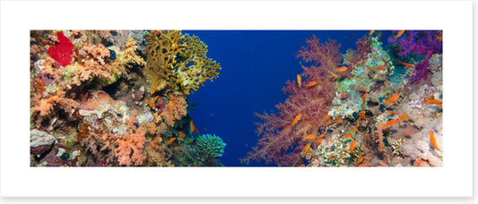 Coral chasm panorama