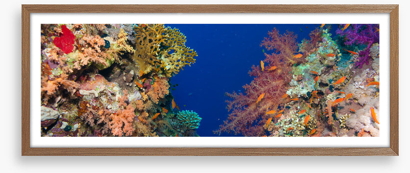 Coral chasm panorama