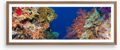 Coral chasm panorama