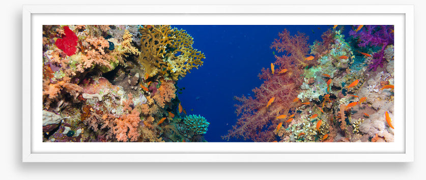 Coral chasm panorama