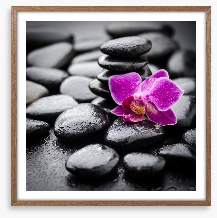 Orchid dew