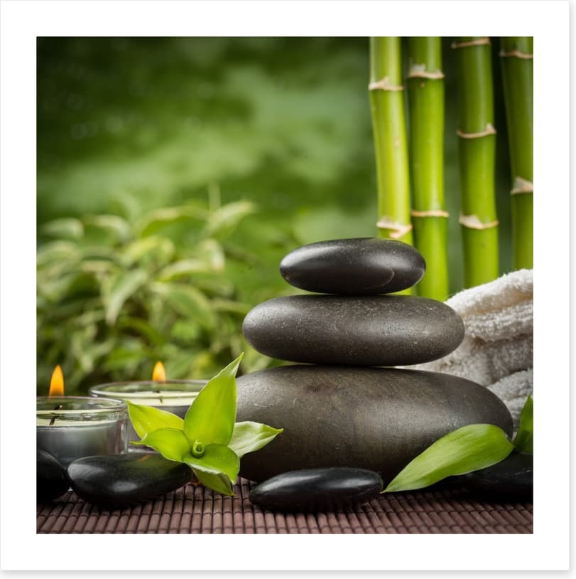 Ayurveda grove