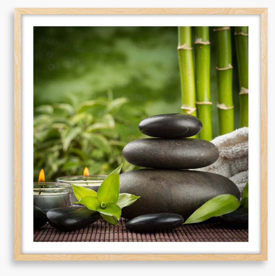 Ayurveda grove