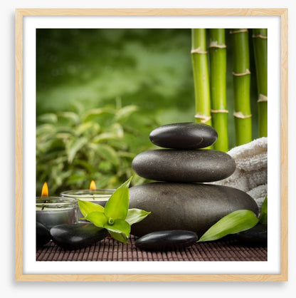 Ayurveda grove