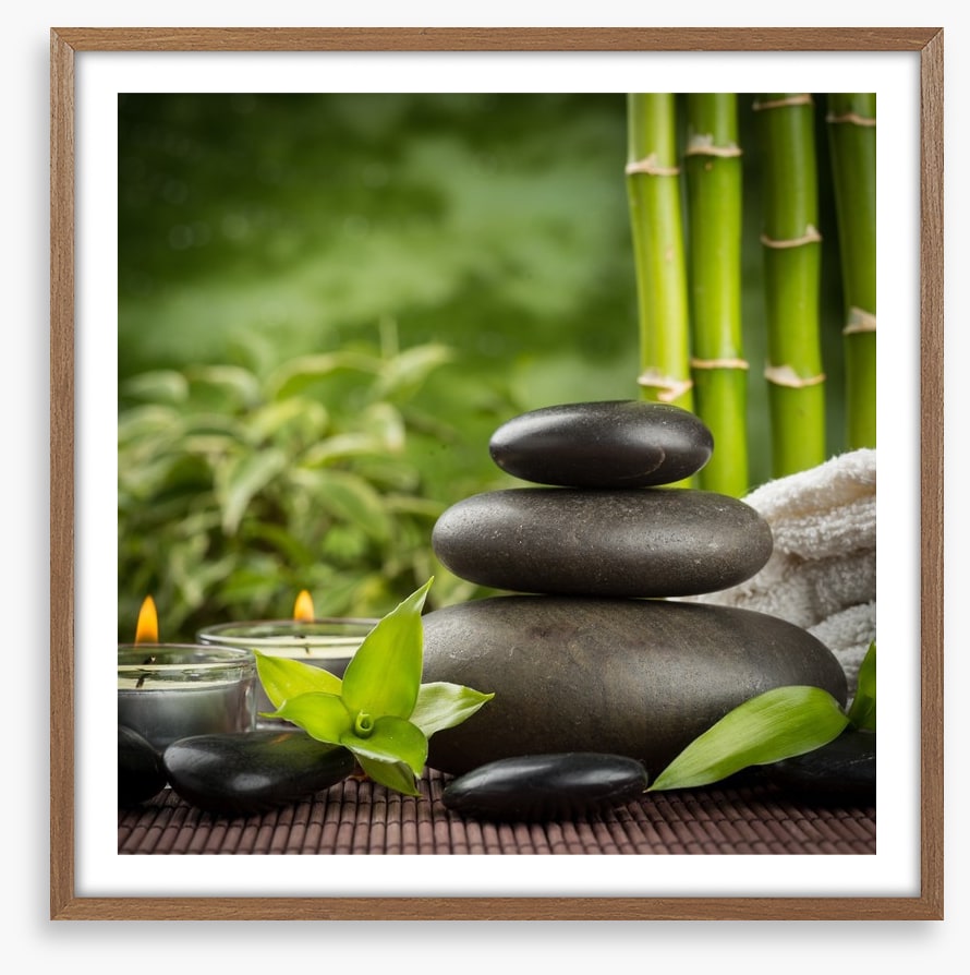 Ayurveda grove