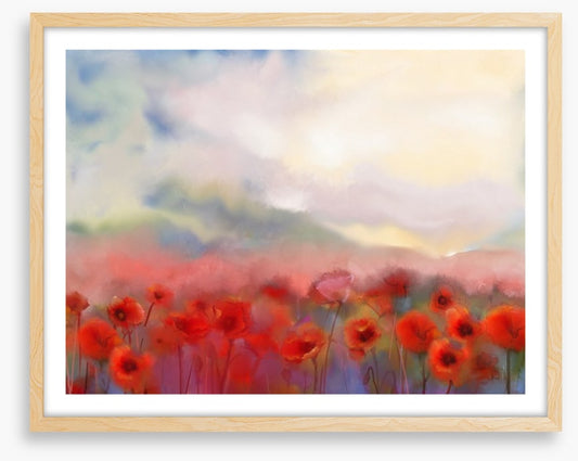 Poppies in the mist