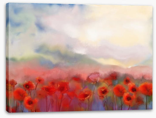Poppies in the mist