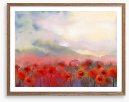Poppies in the mist