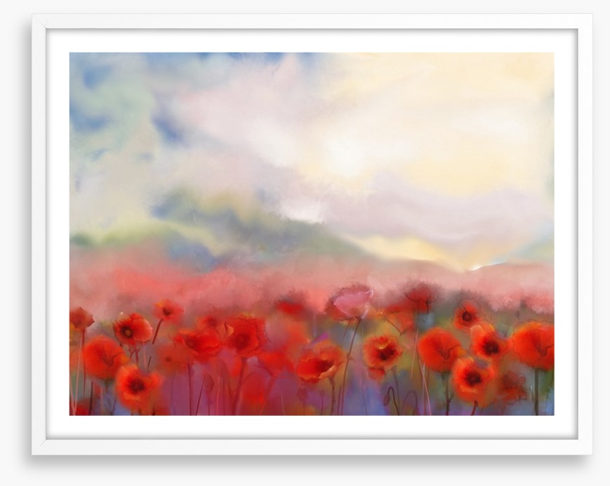 Poppies in the mist