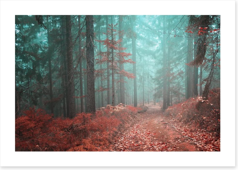 Fairytale fall