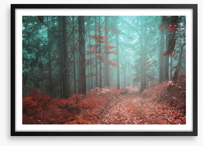 Fairytale fall