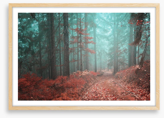 Fairytale fall