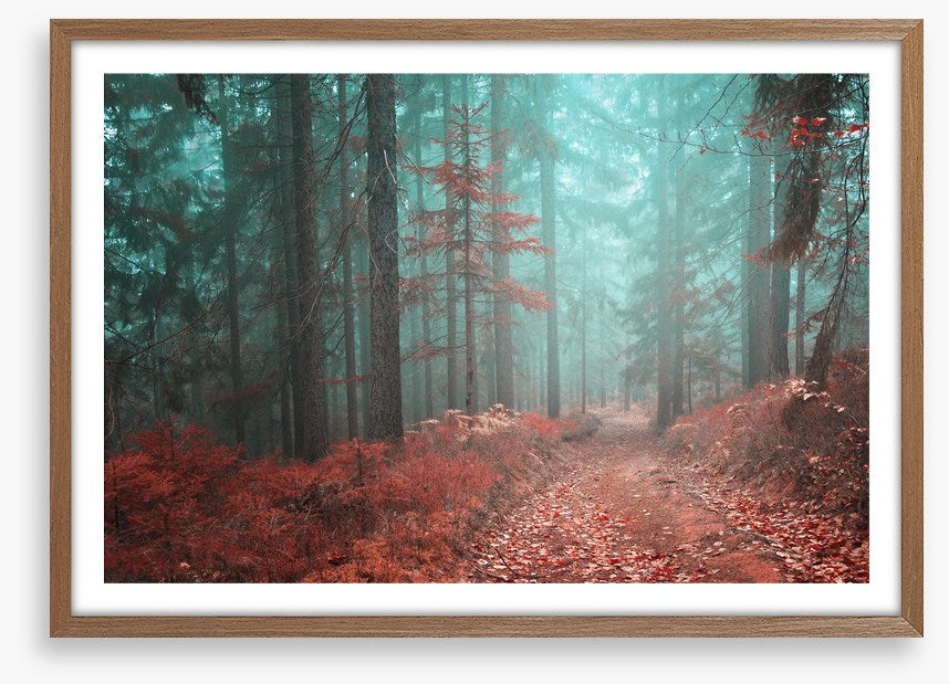 Fairytale fall