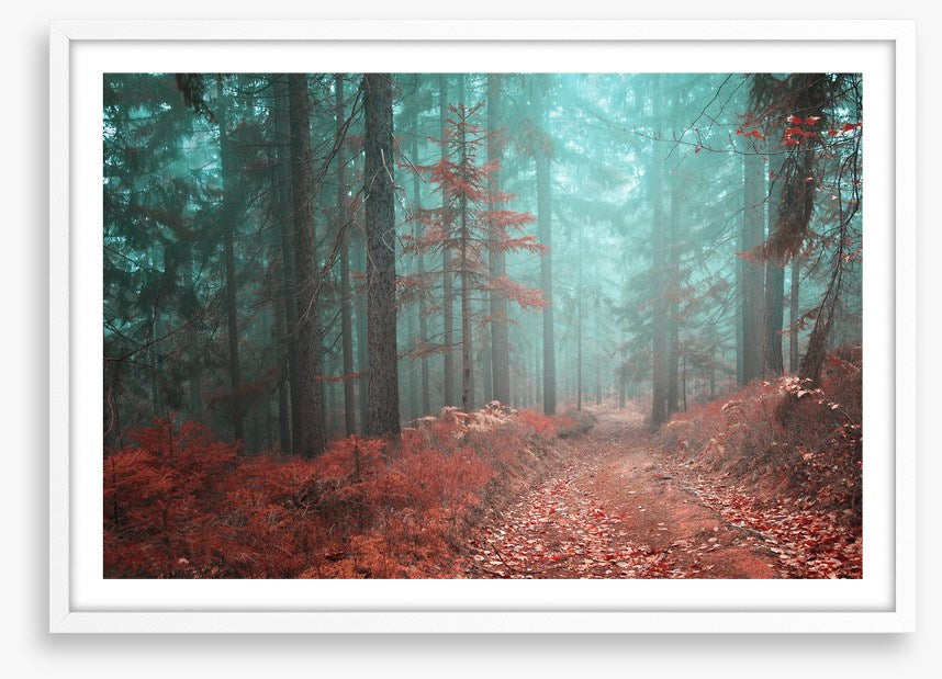 Fairytale fall