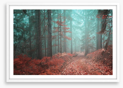 Fairytale fall