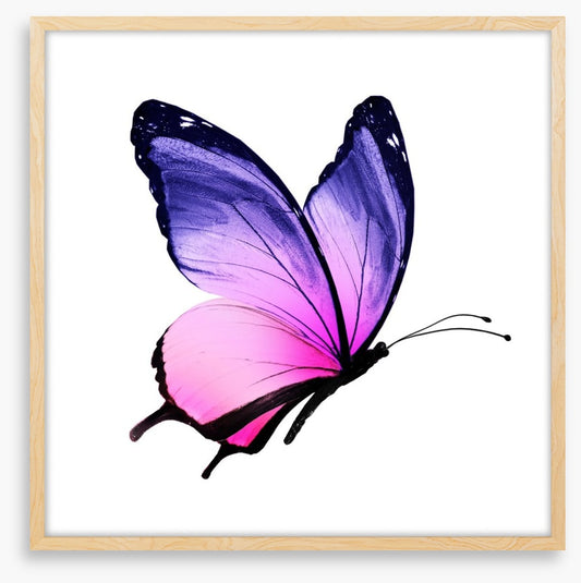 Beautiful butterfly