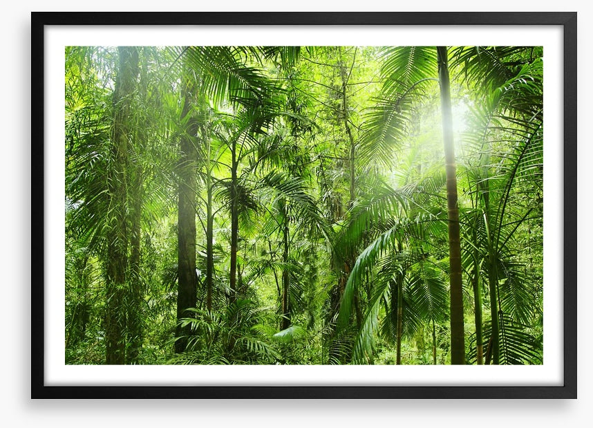 Jungle light