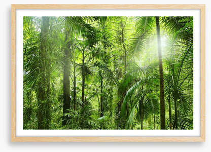 Jungle light