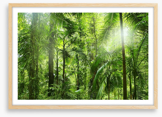 Jungle light