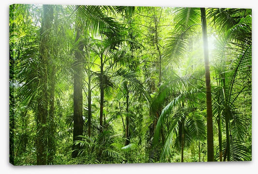 Jungle light