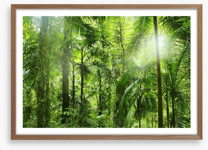 Jungle light