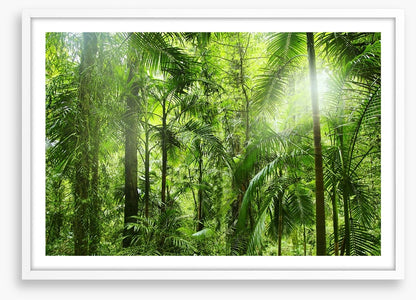 Jungle light