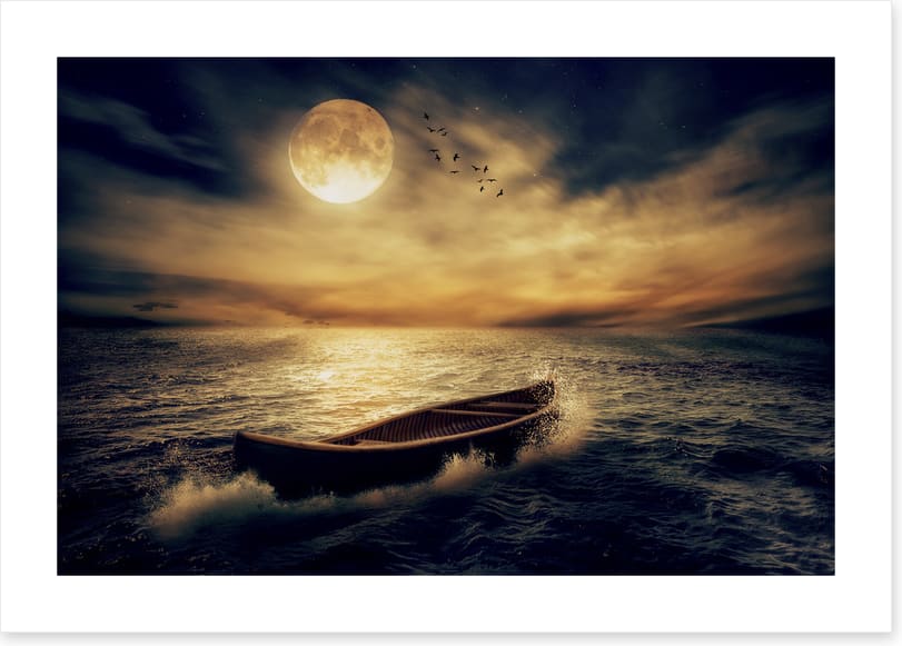 Follow the moon