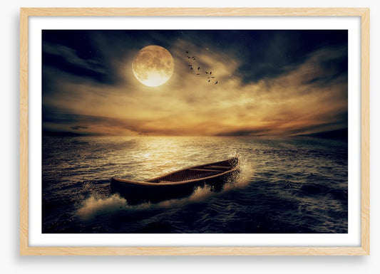 Follow the moon