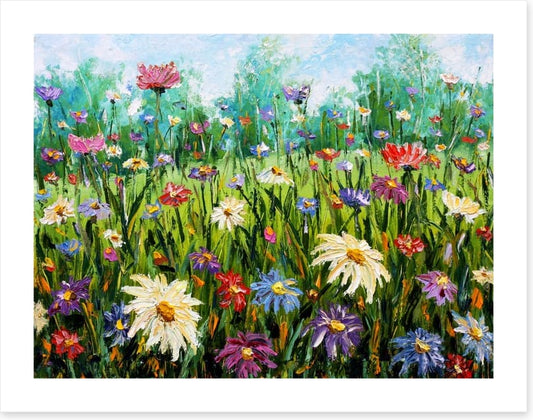 Spring wildflower meadow