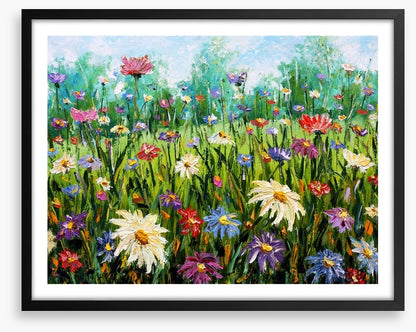 Spring wildflower meadow