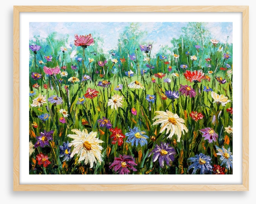 Spring wildflower meadow