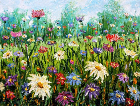 Spring wildflower meadow