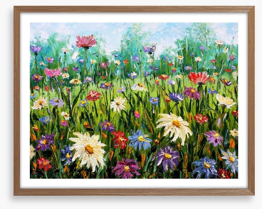 Spring wildflower meadow