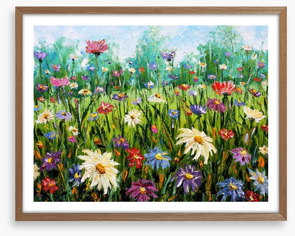 Spring wildflower meadow