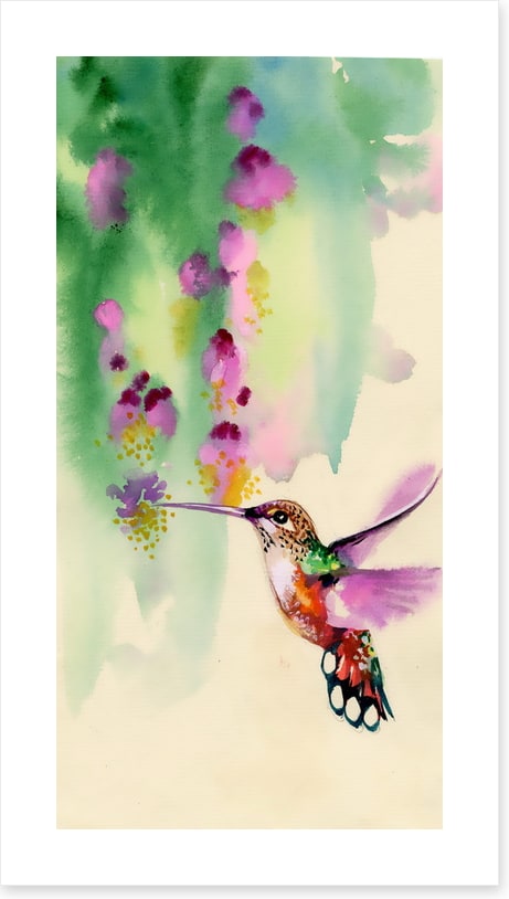 Hummingbird hang