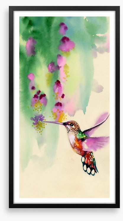 Hummingbird hang
