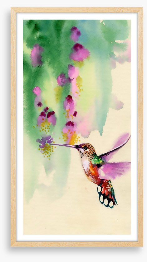 Hummingbird hang