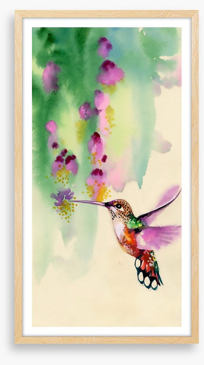 Hummingbird hang
