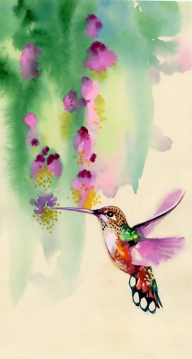 Hummingbird hang
