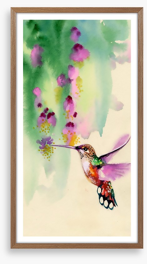Hummingbird hang