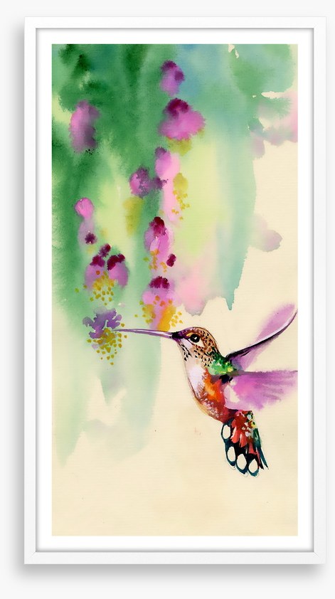 Hummingbird hang