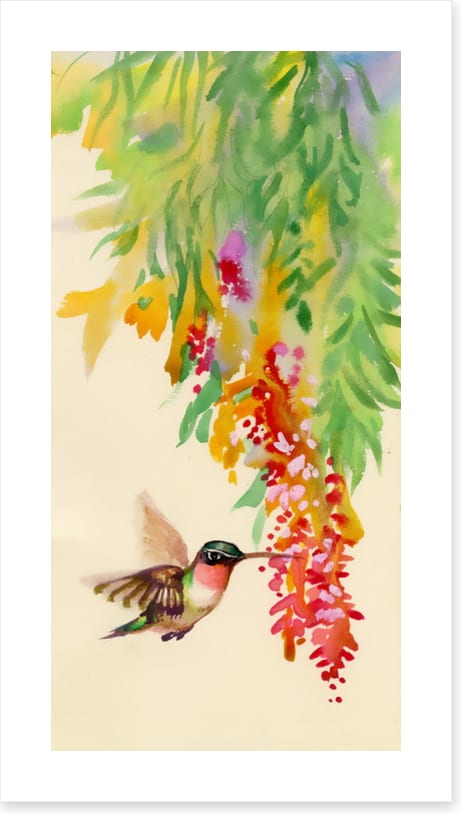 Hummingbird flutter