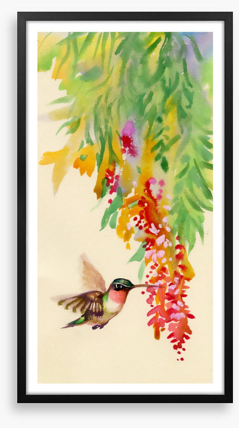 Hummingbird flutter