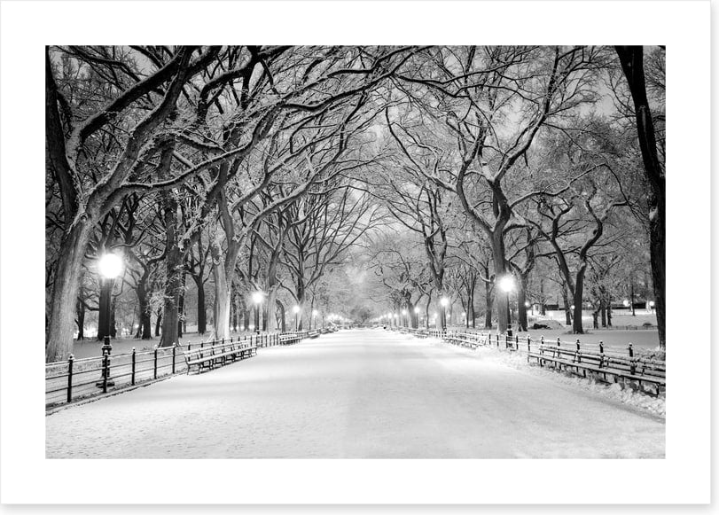 Snowy Central Park